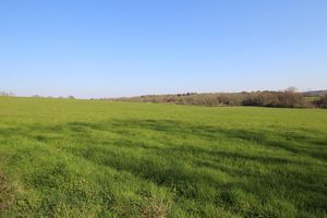 Views- click for photo gallery